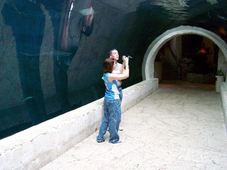 Filename=100_3380.JPG
Filesize=1511KiB
Dimensions=2832x2128
Date added=Sep 28, 2019 100_3380.JPG