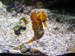 Filename=100_3382.JPG
Filesize=1758KiB
Dimensions=2832x2128
Date added=Sep 28, 2019 100_3382.JPG