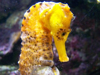 Filename=100_3384.JPG
Filesize=1688KiB
Dimensions=2832x2128
Date added=Sep 28, 2019 100_3384.JPG