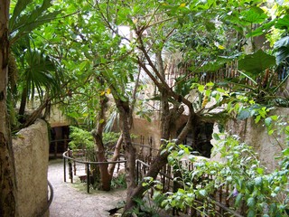 Filename=100_3387.JPG
Filesize=2705KiB
Dimensions=2832x2128
Date added=Sep 28, 2019 100_3387.JPG