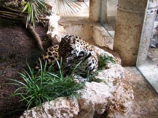 Filename=100_3390.JPG
Filesize=2367KiB
Dimensions=2832x2128
Date added=Sep 28, 2019 100_3390.JPG