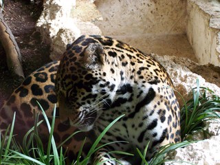 Filename=100_3391.JPG
Filesize=1978KiB
Dimensions=2832x2128
Date added=Sep 28, 2019 100_3391.JPG