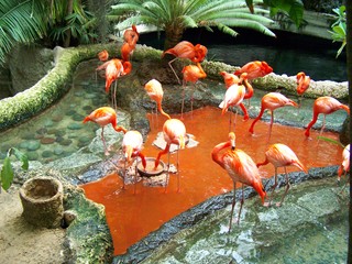 Filename=100_3394.JPG
Filesize=2424KiB
Dimensions=2832x2128
Date added=Sep 28, 2019 100_3394.JPG