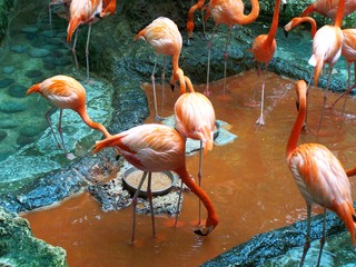 Filename=100_3395.JPG
Filesize=2267KiB
Dimensions=2832x2128
Date added=Sep 28, 2019 100_3395.JPG