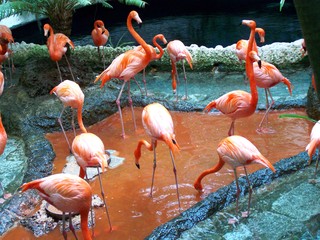 Filename=100_3396.JPG
Filesize=2112KiB
Dimensions=2832x2128
Date added=Sep 28, 2019 100_3396.JPG