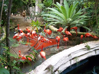 Filename=100_3397.JPG
Filesize=2488KiB
Dimensions=2832x2128
Date added=Sep 28, 2019 100_3397.JPG