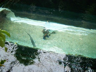 Filename=100_3398.JPG
Filesize=1987KiB
Dimensions=2832x2128
Date added=Sep 28, 2019 100_3398.JPG