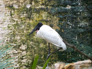 Filename=100_3401.JPG
Filesize=2472KiB
Dimensions=2832x2128
Date added=Sep 28, 2019 100_3401.JPG