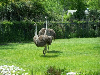 Filename=100_3571.JPG
Filesize=2574KiB
Dimensions=2832x2128
Date added=Sep 28, 2019 100_3571.JPG