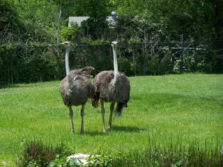 Filename=100_3573.JPG
Filesize=2420KiB
Dimensions=2832x2128
Date added=Sep 28, 2019 100_3573.JPG