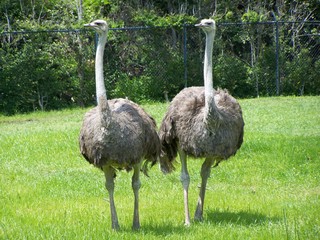 Filename=100_3574.JPG
Filesize=2167KiB
Dimensions=2832x2128
Date added=Sep 28, 2019 100_3574.JPG