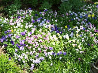 Filename=100_3575.JPG
Filesize=2751KiB
Dimensions=2832x2128
Date added=Sep 28, 2019 100_3575.JPG