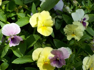 Filename=100_3578.JPG
Filesize=929KiB
Dimensions=2832x2128
Date added=Sep 28, 2019 100_3578.JPG