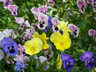 Filename=100_3579.JPG
Filesize=1214KiB
Dimensions=2832x2128
Date added=Sep 28, 2019 100_3579.JPG