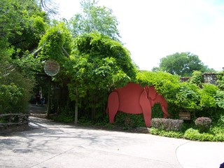 Filename=100_3581.JPG
Filesize=1933KiB
Dimensions=2832x2128
Date added=Sep 28, 2019 100_3581.JPG