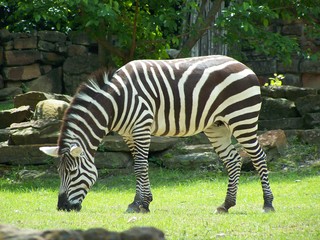 Filename=100_3583.JPG
Filesize=1620KiB
Dimensions=2832x2128
Date added=Sep 28, 2019 100_3583.JPG