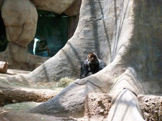 Filename=100_3585.JPG
Filesize=2314KiB
Dimensions=2832x2128
Date added=Sep 28, 2019 100_3585.JPG