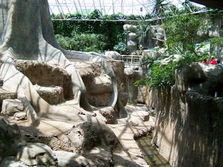 Filename=100_3587.JPG
Filesize=2528KiB
Dimensions=2832x2128
Date added=Sep 28, 2019 100_3587.JPG