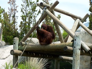 Filename=100_3591.JPG
Filesize=1733KiB
Dimensions=2832x2128
Date added=Sep 28, 2019 100_3591.JPG