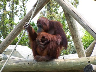 Filename=100_3593.JPG
Filesize=1578KiB
Dimensions=2832x2128
Date added=Sep 28, 2019 100_3593.JPG