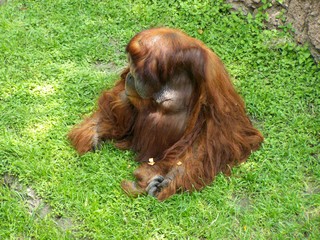 Filename=100_3597.JPG
Filesize=2491KiB
Dimensions=2832x2128
Date added=Sep 28, 2019 100_3597.JPG