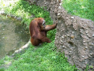 Filename=100_3598.JPG
Filesize=2322KiB
Dimensions=2832x2128
Date added=Sep 28, 2019 100_3598.JPG