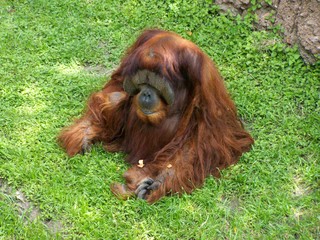 Filename=100_3599.JPG
Filesize=2468KiB
Dimensions=2832x2128
Date added=Sep 28, 2019 100_3599.JPG