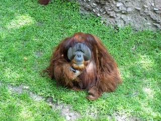 Filename=100_3602.JPG
Filesize=2692KiB
Dimensions=2832x2128
Date added=Sep 28, 2019 100_3602.JPG