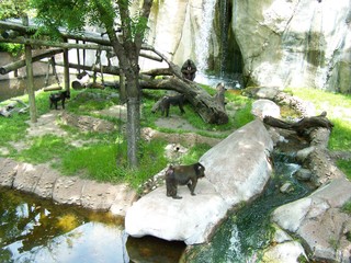 Filename=100_3603.JPG
Filesize=2246KiB
Dimensions=2832x2128
Date added=Sep 28, 2019 100_3603.JPG