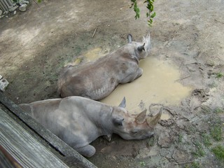 Filename=100_3606.JPG
Filesize=1754KiB
Dimensions=2832x2128
Date added=Sep 28, 2019 100_3606.JPG