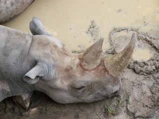 Filename=100_3607.JPG
Filesize=1673KiB
Dimensions=2832x2128
Date added=Sep 28, 2019 100_3607.JPG