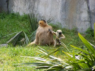 Filename=100_3608.JPG
Filesize=2222KiB
Dimensions=2832x2128
Date added=Sep 28, 2019 100_3608.JPG