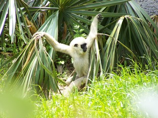 Filename=100_3610.JPG
Filesize=1781KiB
Dimensions=2832x2128
Date added=Sep 28, 2019 100_3610.JPG