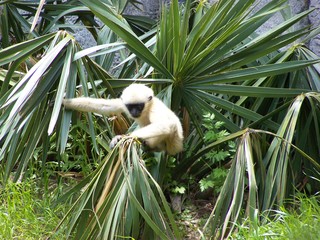 Filename=100_3611.JPG
Filesize=2239KiB
Dimensions=2832x2128
Date added=Sep 28, 2019 100_3611.JPG