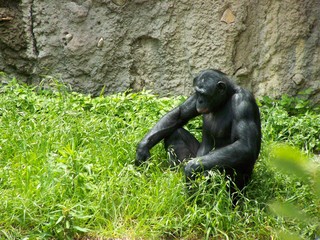 Filename=100_3616.JPG
Filesize=2614KiB
Dimensions=2832x2128
Date added=Sep 28, 2019 100_3616.JPG