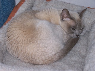 Filename=100_3654.JPG
Filesize=1446KiB
Dimensions=2832x2128
Date added=Sep 28, 2019 100_3654.JPG