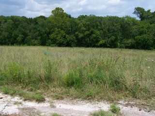 Filename=100_4288.JPG
Filesize=2240KiB
Dimensions=2832x2128
Date added=Sep 28, 2019 100_4288.JPG