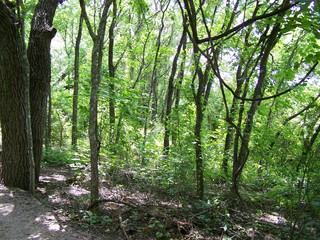 Filename=100_4295.JPG
Filesize=3167KiB
Dimensions=2832x2128
Date added=Sep 28, 2019 100_4295.JPG