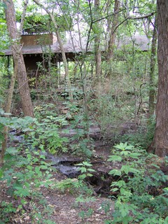 Filename=100_4297.JPG
Filesize=2305KiB
Dimensions=2128x2832
Date added=Sep 28, 2019 100_4297.JPG