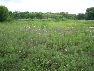 Filename=100_4300.JPG
Filesize=2170KiB
Dimensions=2832x2128
Date added=Sep 28, 2019 100_4300.JPG