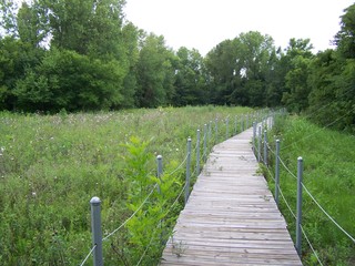 Filename=100_4303.JPG
Filesize=2161KiB
Dimensions=2832x2128
Date added=Sep 28, 2019 100_4303.JPG