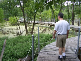 Filename=100_4307.JPG
Filesize=2389KiB
Dimensions=2832x2128
Date added=Sep 28, 2019 100_4307.JPG