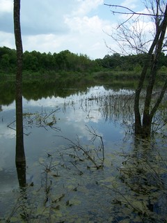 Filename=100_4313.JPG
Filesize=1561KiB
Dimensions=2128x2832
Date added=Sep 28, 2019 100_4313.JPG