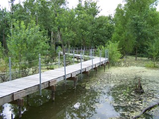 Filename=100_4314.JPG
Filesize=2396KiB
Dimensions=2832x2128
Date added=Sep 28, 2019 100_4314.JPG