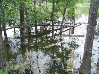 Filename=100_4318.JPG
Filesize=2659KiB
Dimensions=2832x2128
Date added=Sep 28, 2019 100_4318.JPG