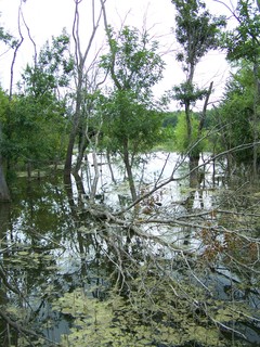 Filename=100_4319.JPG
Filesize=2769KiB
Dimensions=2128x2832
Date added=Sep 28, 2019 100_4319.JPG