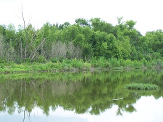 Filename=100_4321.JPG
Filesize=1463KiB
Dimensions=2832x2128
Date added=Sep 28, 2019 100_4321.JPG