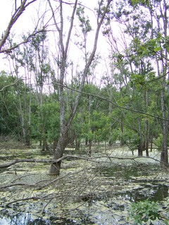 Filename=100_4324.JPG
Filesize=2778KiB
Dimensions=2128x2832
Date added=Sep 28, 2019 100_4324.JPG