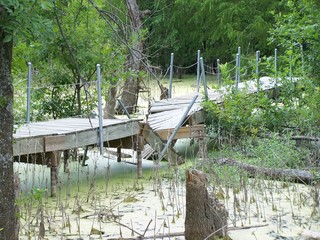 Filename=100_4325.JPG
Filesize=2358KiB
Dimensions=2832x2128
Date added=Sep 28, 2019 100_4325.JPG