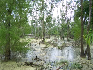 Filename=100_4329.JPG
Filesize=2555KiB
Dimensions=2832x2128
Date added=Sep 28, 2019 100_4329.JPG